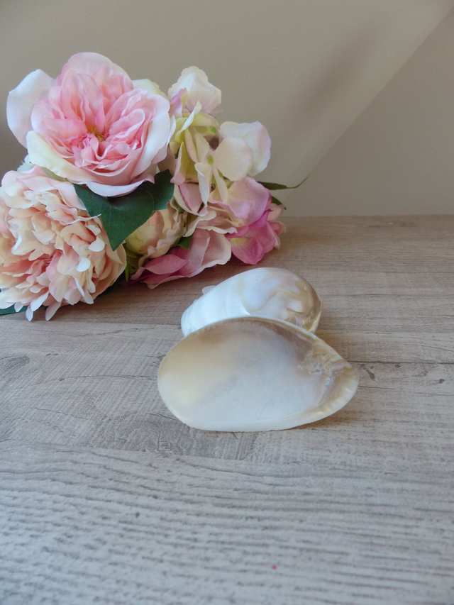 Vide-poche hibou en coquillage et nacre – sculpture artisanale française vintage – déco bord de mer - souvenir fait main marin et poétique