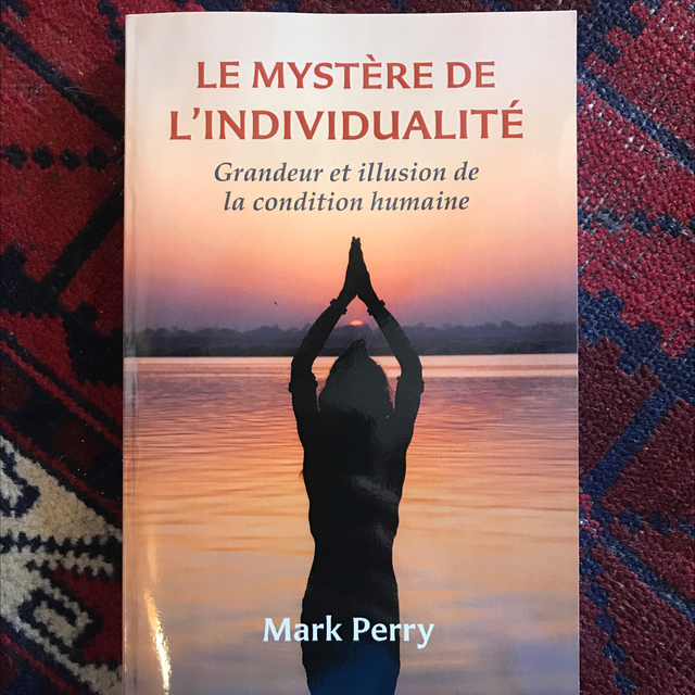 PERRY Mark - Le mystère de l’individualité, Grandeur et illusion de la condition humaine