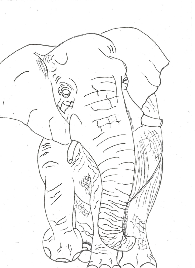 Carte "Finis Moi!" - L'éléphant - 10x14 cm