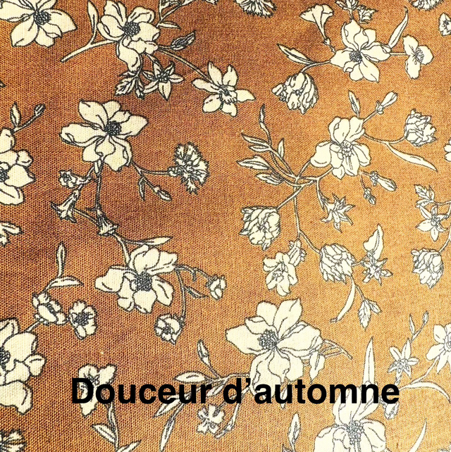 Douceur d'automne