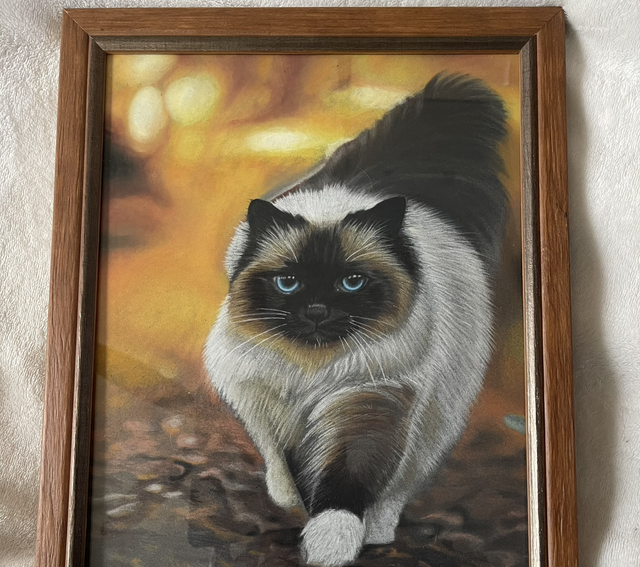 Pasteltekening heilige birmaan