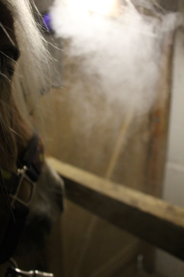 Soleinhalation in Solebox (ohne Anhänger)