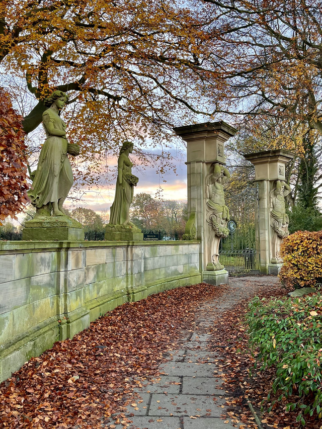 Autumn Leaves are falling - Print