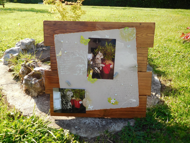 Porte photos vert et gris