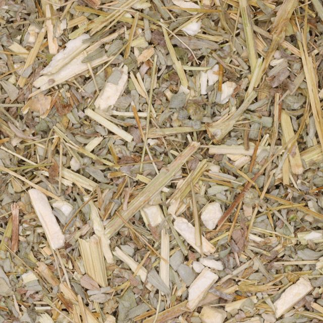 Alsem kruid (Artemisia absinthium) - BIO