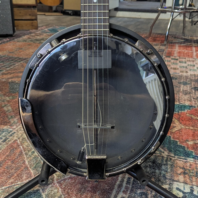 Dean Backwoods 6 string banjo