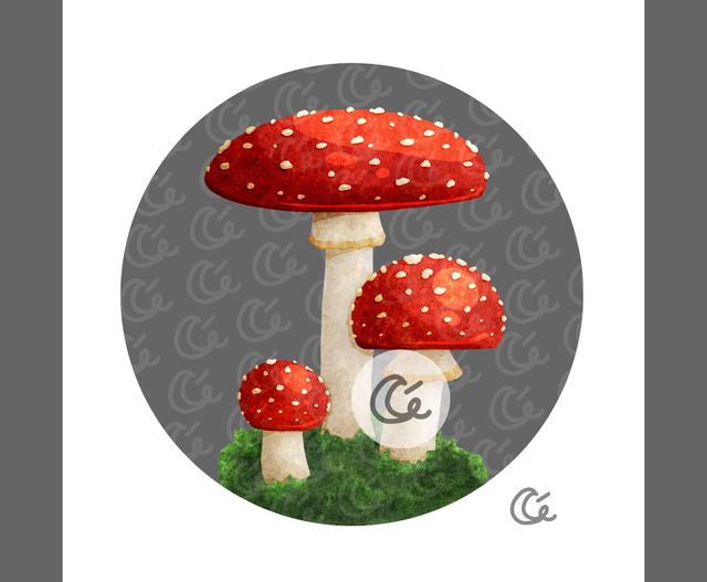 Print Amanite Tue-mouches