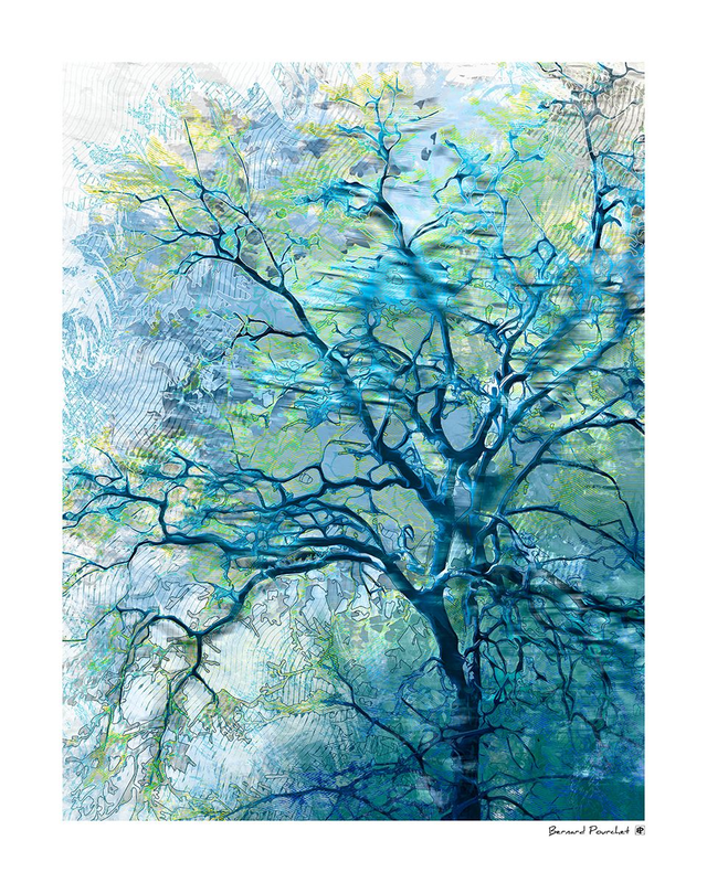 Arb13 - Avea Fragonas 396