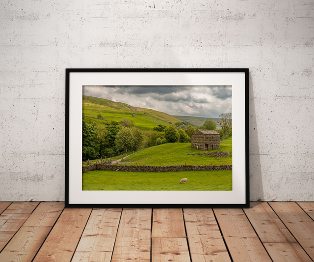 The Solo Sheep In Swaledale, Keld