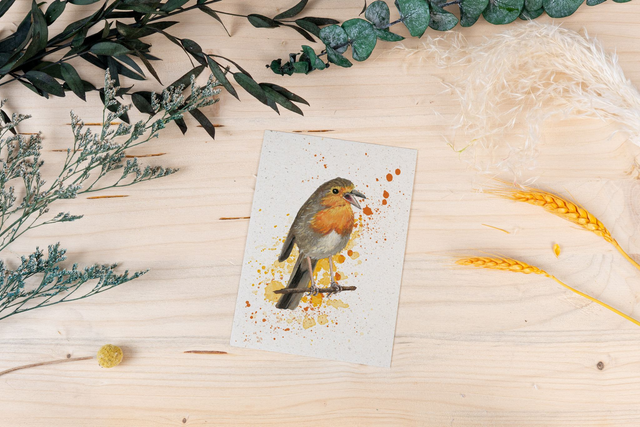 Graspapierkarte - Rotkehlchen - meckerchen