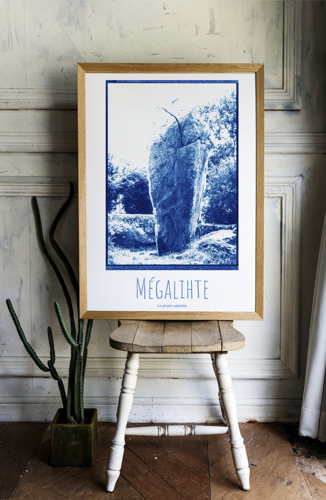 Affiche : Mégalihte