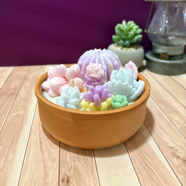 Cactus secret d’amour Rosita - 262gr