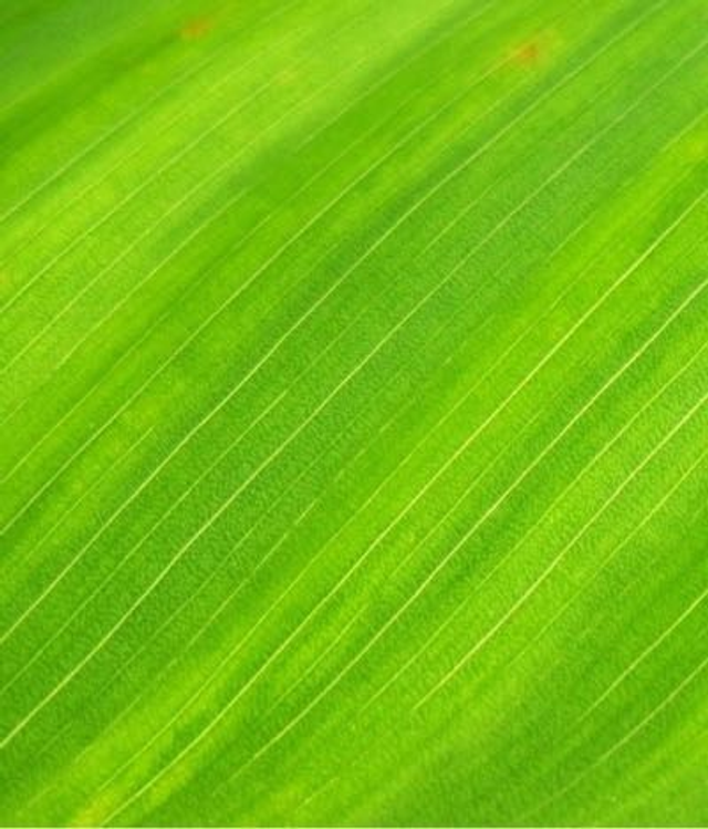 4 x One Hour Pass..............................In-studio 