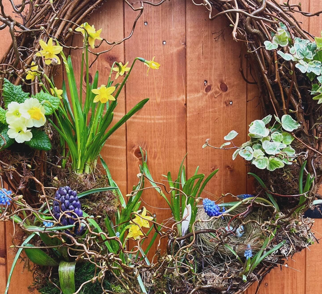 live plant spring wreath - large 