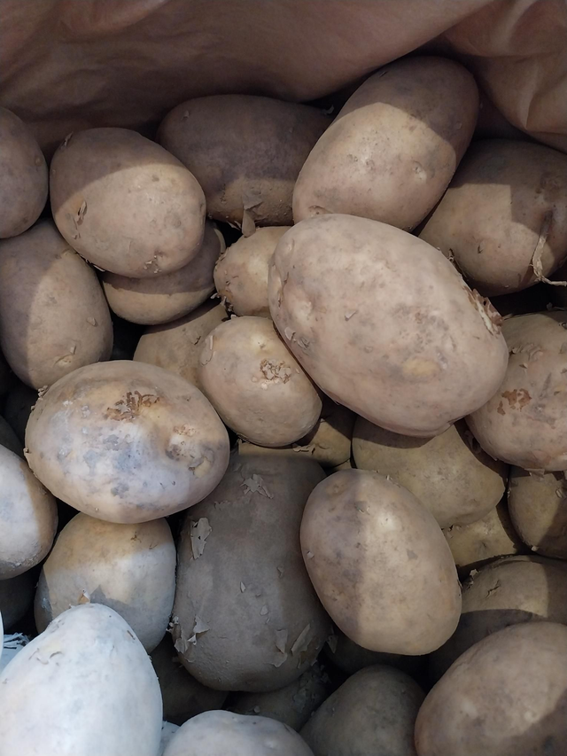 Pentland Javelin potato 1kg 