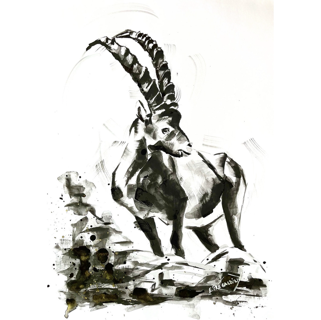 Ibex, Chamonix, aquarelle