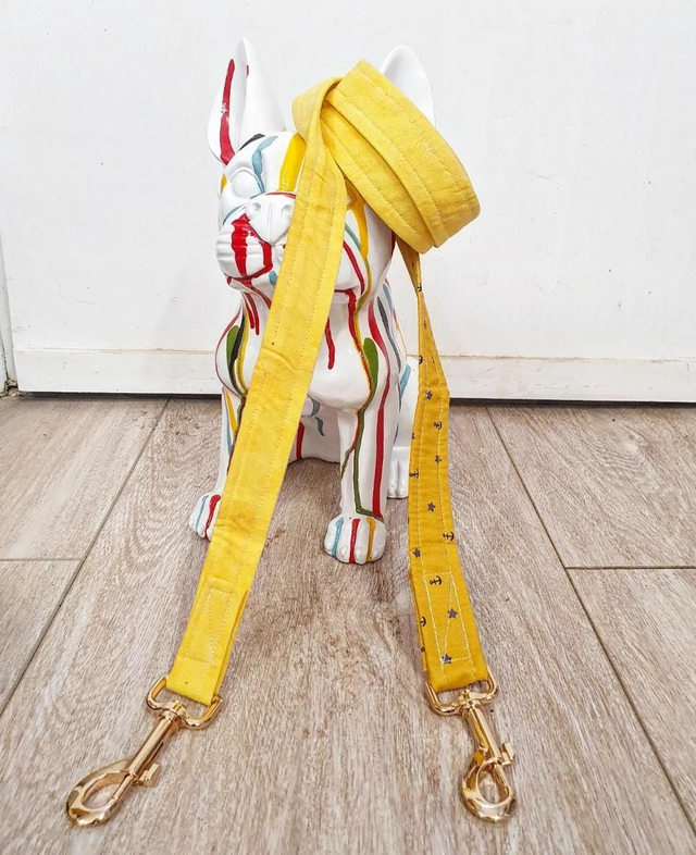 TIP_Laisse30 ◾️MarinBicolore