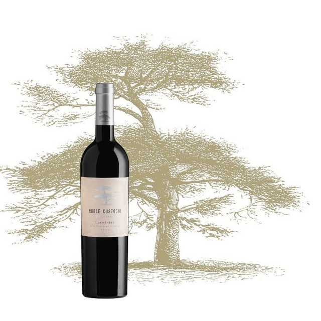 Caja Carmenere Reserva - 6 UN