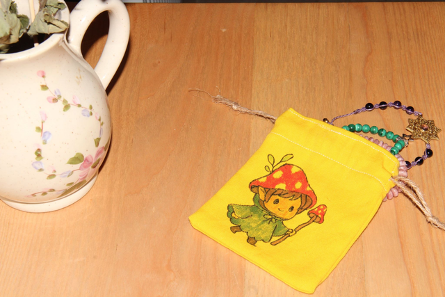 pochon maitre champi