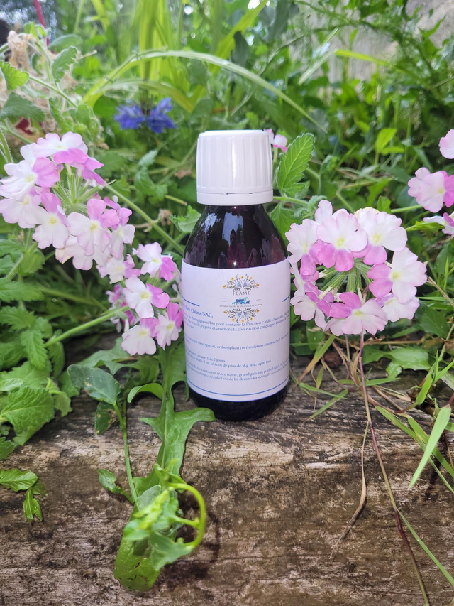 Cardio soutien Chats/Chiens/NAC