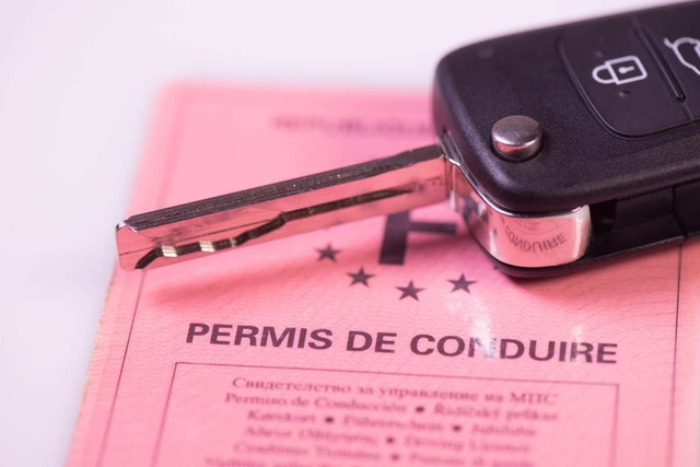 Fabrication permis de conduire Français