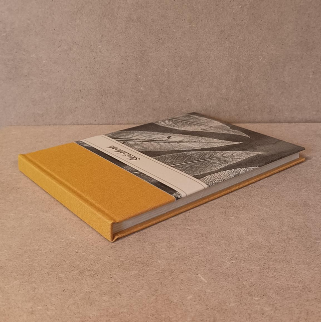 Album photo /Sketchbook