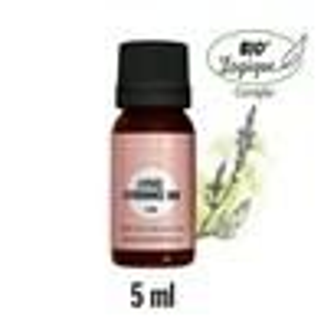 H E Verveine exotique Bio 