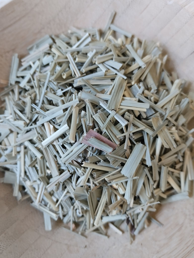 Citronnelle (Cymbopognon citratus)