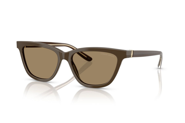 Eyewear Woman Giorgio Armani  AR 8221 595753