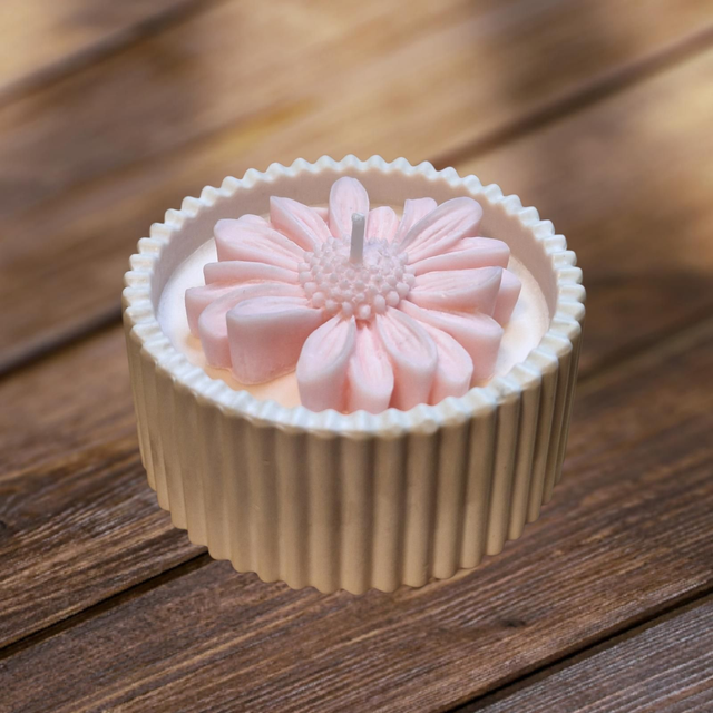 Daisy Kerze
Rosa/weiss