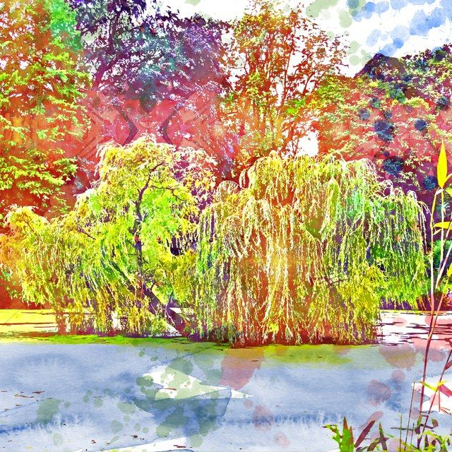 Schlossgarten, illustriert