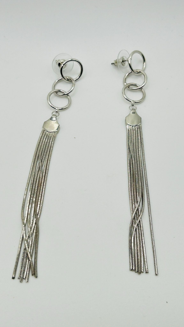 Stainless Steel Earrings (SSE102J)