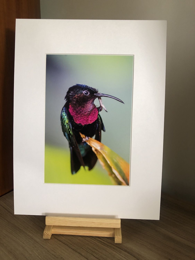 Tirage illimité Rubis avec passe-partout