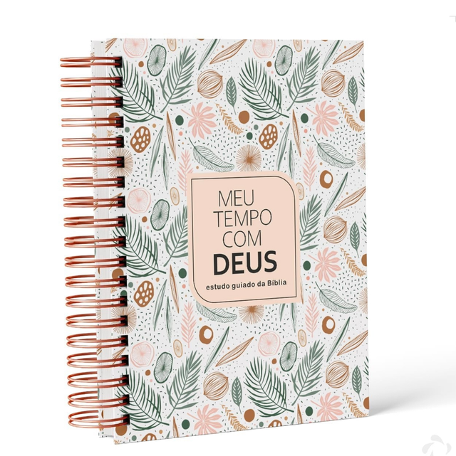 estrelas (3) Caderno Devocional Planner De Leitura Diária Da Bíblia 365 Dias