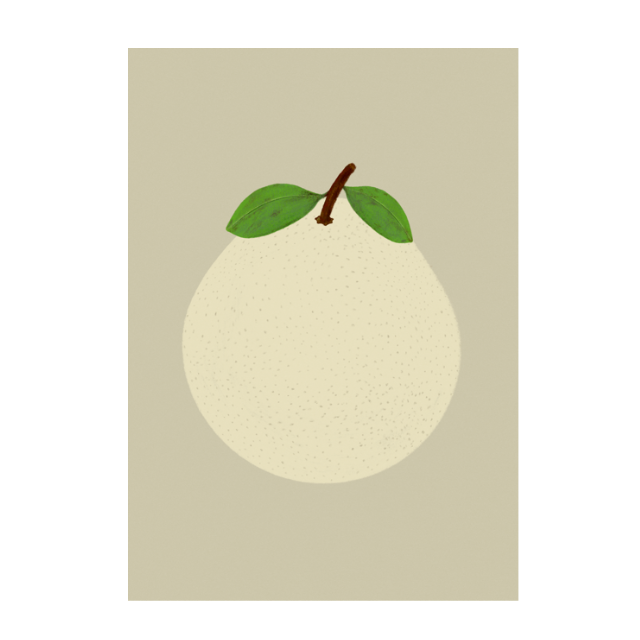 A3 Print - NASHI Pear