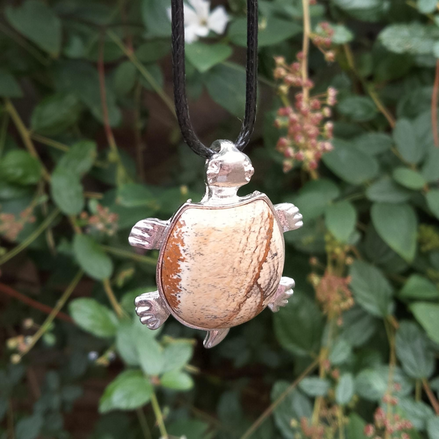 Picture Jasper Tortoise