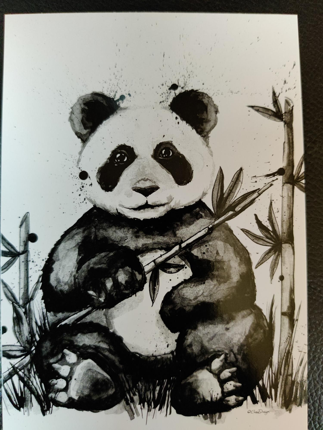 Postikortti Panda mustavalkoinen