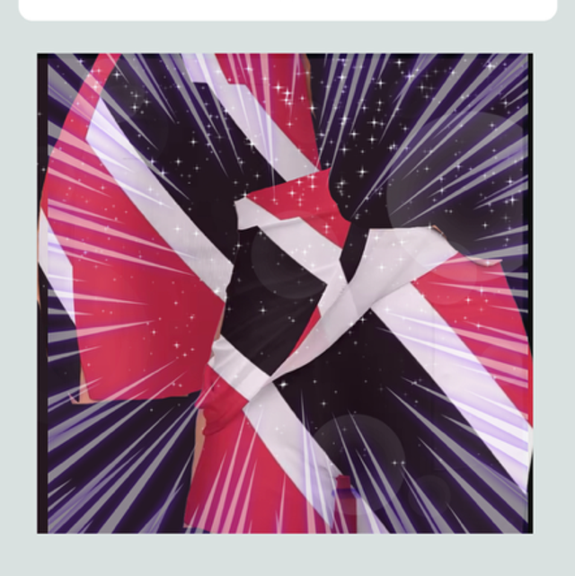 🇹🇹T&amp;T TRINICONDA SKORTS