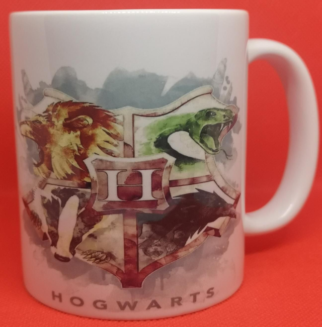 Custom Designed And Printed Unofficial Harry Potter 