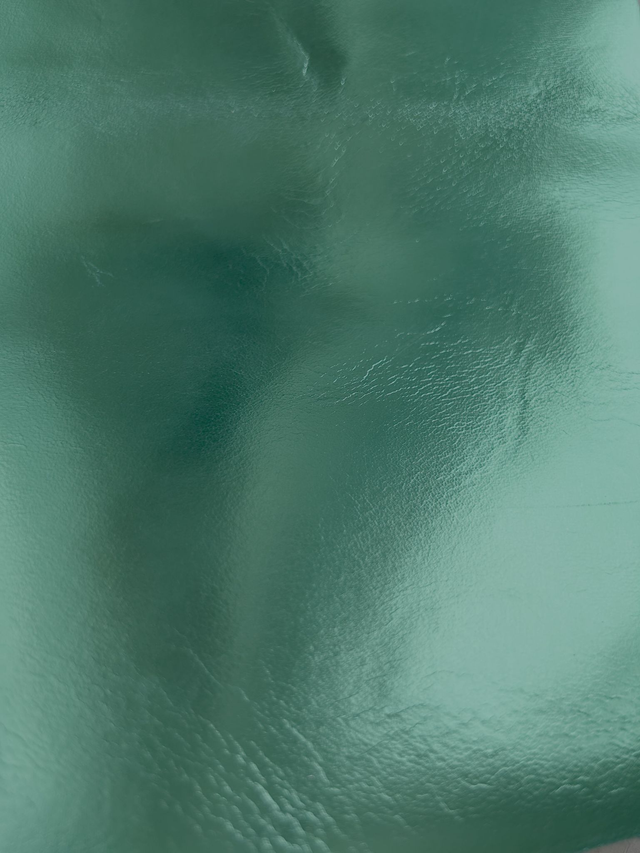 Chute de cuir vert métallisé miroir