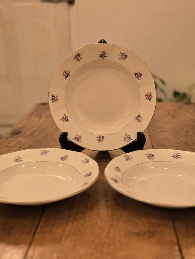 Assiettes creuses Digoin et Sarreguemines 