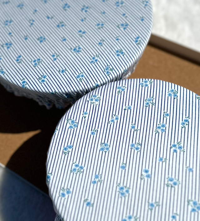 Charlotte alimentaire LINES