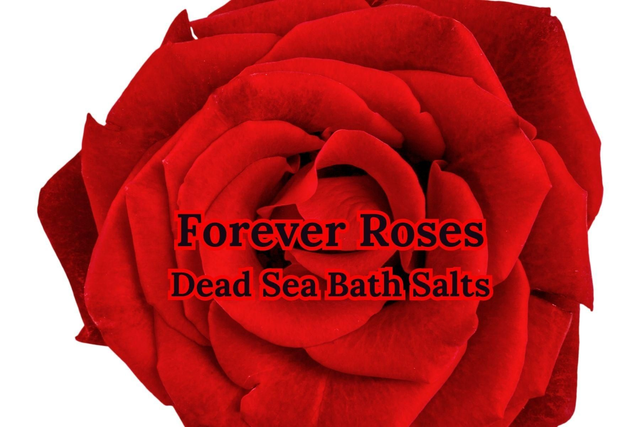 Forever Rose