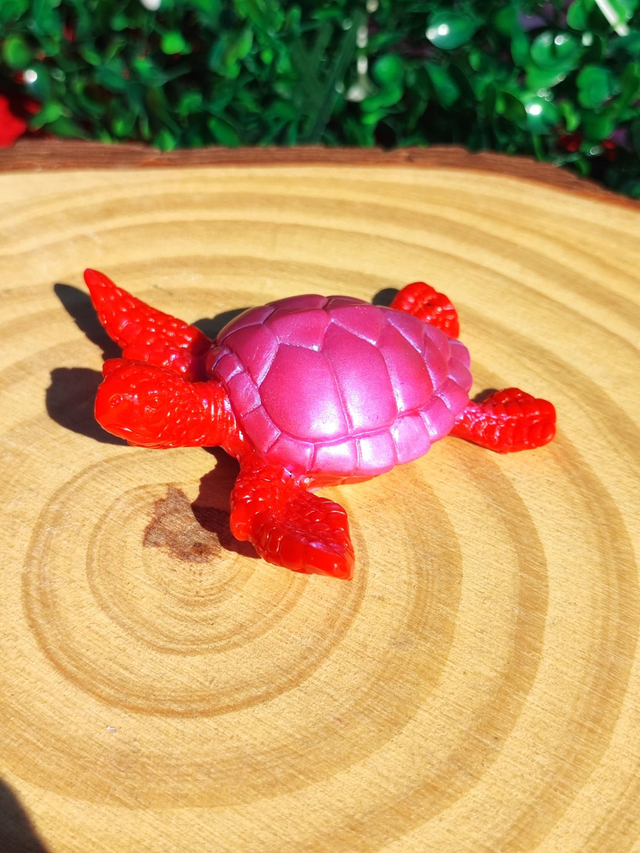 Tortue de mer