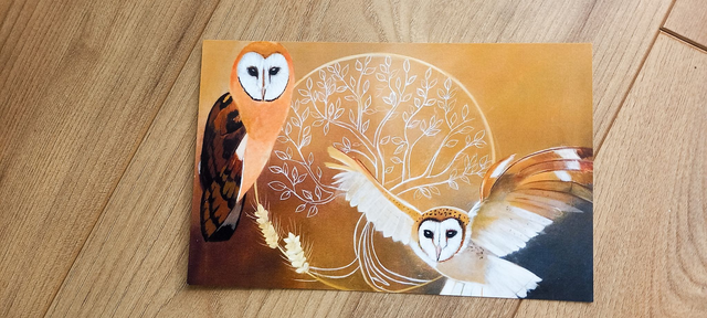 Carte postale "ESPRIT DE LA FORET "