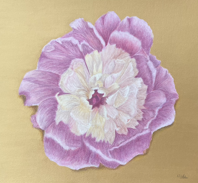 Peony (Available to purchase from Mardleybury Gallery)