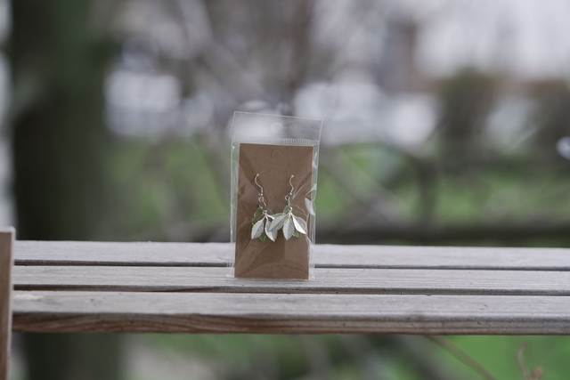 NÁUŠNICE - Lístky