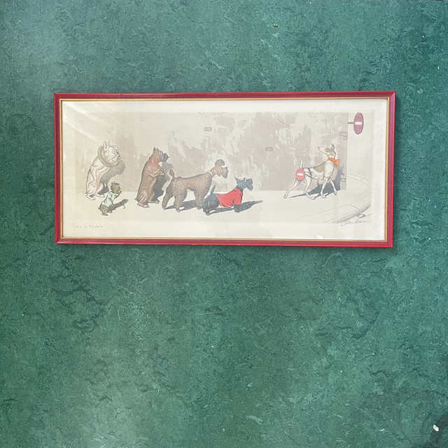 Original Kunstwerk Hunde Bild  von  Boris O‘Klein signierte Radierung