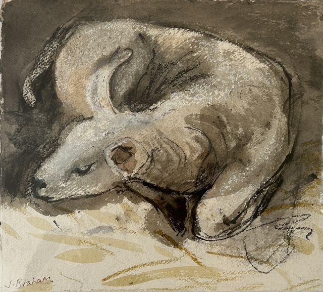 JuB46 Lamb Resting by Julienne Braham, 48x44cm  Oil