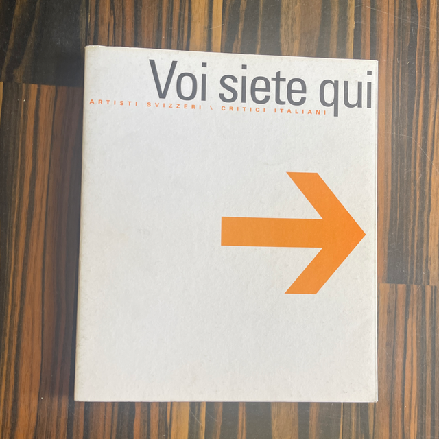 AA.VV. - Voi siete qui. Artisti svizzeri \ Critici italiani (Istituto Svizzero di Roma, 1998)